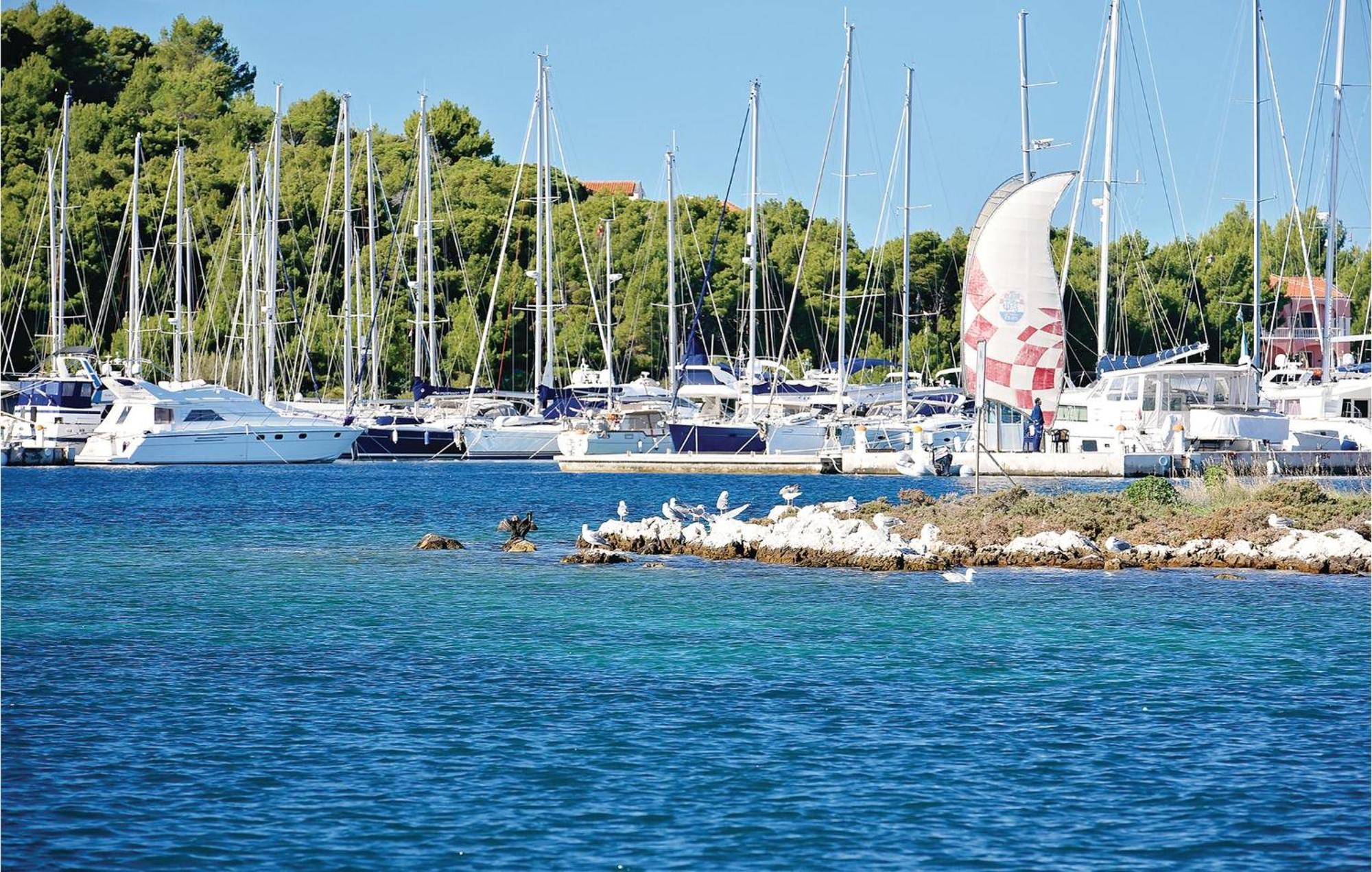 Seahorse Apartments Ražanj Zewnętrze zdjęcie